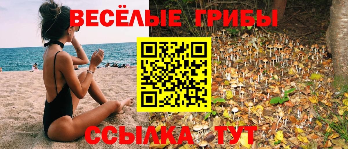 Псилоцибиновые грибы ЛСД  Вход с VPN  купить   Ростов Великий 